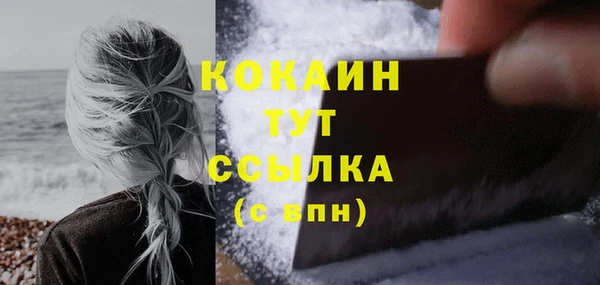 индика Богородск