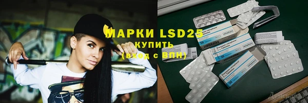 крисы Бородино