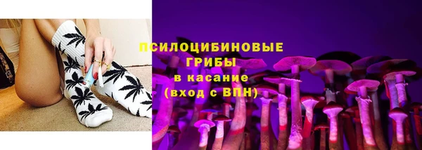 spice Богородицк