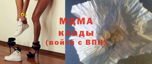крисы Бородино