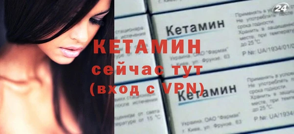 крисы Бородино