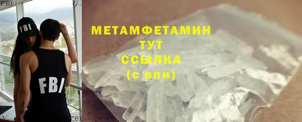 крисы Бородино