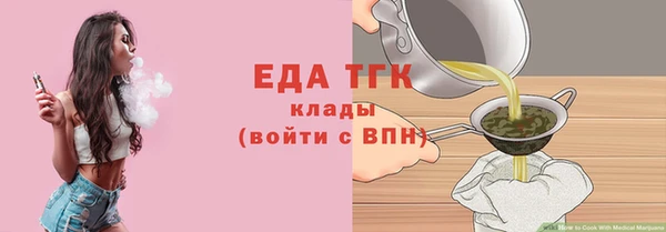 крисы Бородино