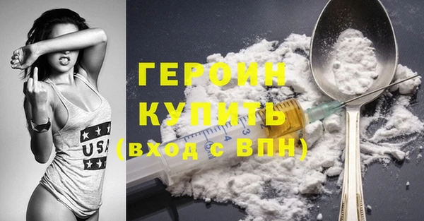 крисы Бородино