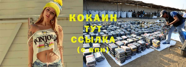 крисы Бородино