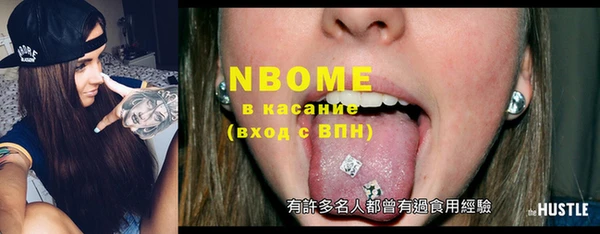крисы Бородино