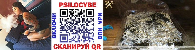 Псилоцибиновые грибы Psilocybine cubensis купить наркоту Мещовск